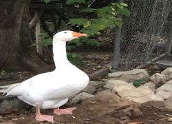 IMG 20231022 WA0007 IMG 20231022 WA0007