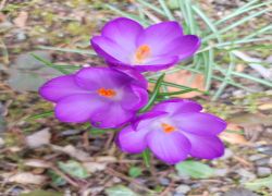 IMG 20230312 WA0001 IMG 20230312 WA0001