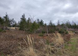 IMG 20230312 WA0008 IMG 20230312 WA0008