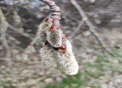 IMG 20230312 WA0013 IMG 20230312 WA0013