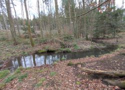 IMG 20230312 WA0018 IMG 20230312 WA0018