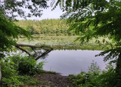 IMG 20230813 WA0006 IMG 20230813 WA0006