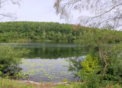 IMG 20230813 WA0008 IMG 20230813 WA0008