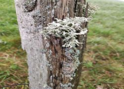 IMG 20230416 WA0001 IMG 20230416 WA0001