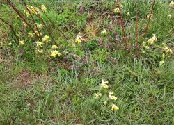 IMG 20230416 WA0003 IMG 20230416 WA0003