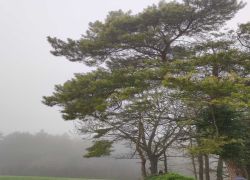 IMG 20230416 WA0005 IMG 20230416 WA0005