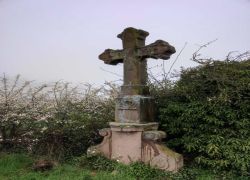IMG 20230416 WA0009 IMG 20230416 WA0009