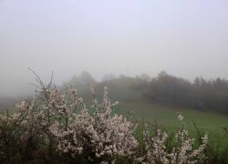 IMG 20230416 WA0014 IMG 20230416 WA0014
