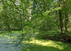 IMG 20230910 WA0012 IMG 20230910 WA0012