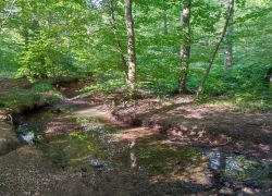 IMG 20230910 WA0014 IMG 20230910 WA0014