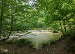 IMG 20230910 WA0022 IMG 20230910 WA0022