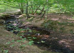 IMG 20230910 WA0024 IMG 20230910 WA0024