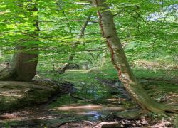 IMG 20230910 WA0025 IMG 20230910 WA0025